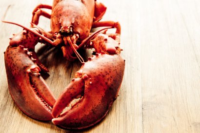 Lobster and Shellfish Monday 5th August 2024
