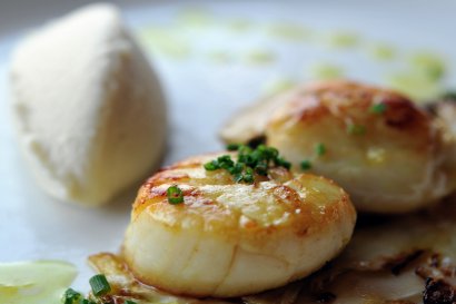 Scallop School Monday 17th March 2025